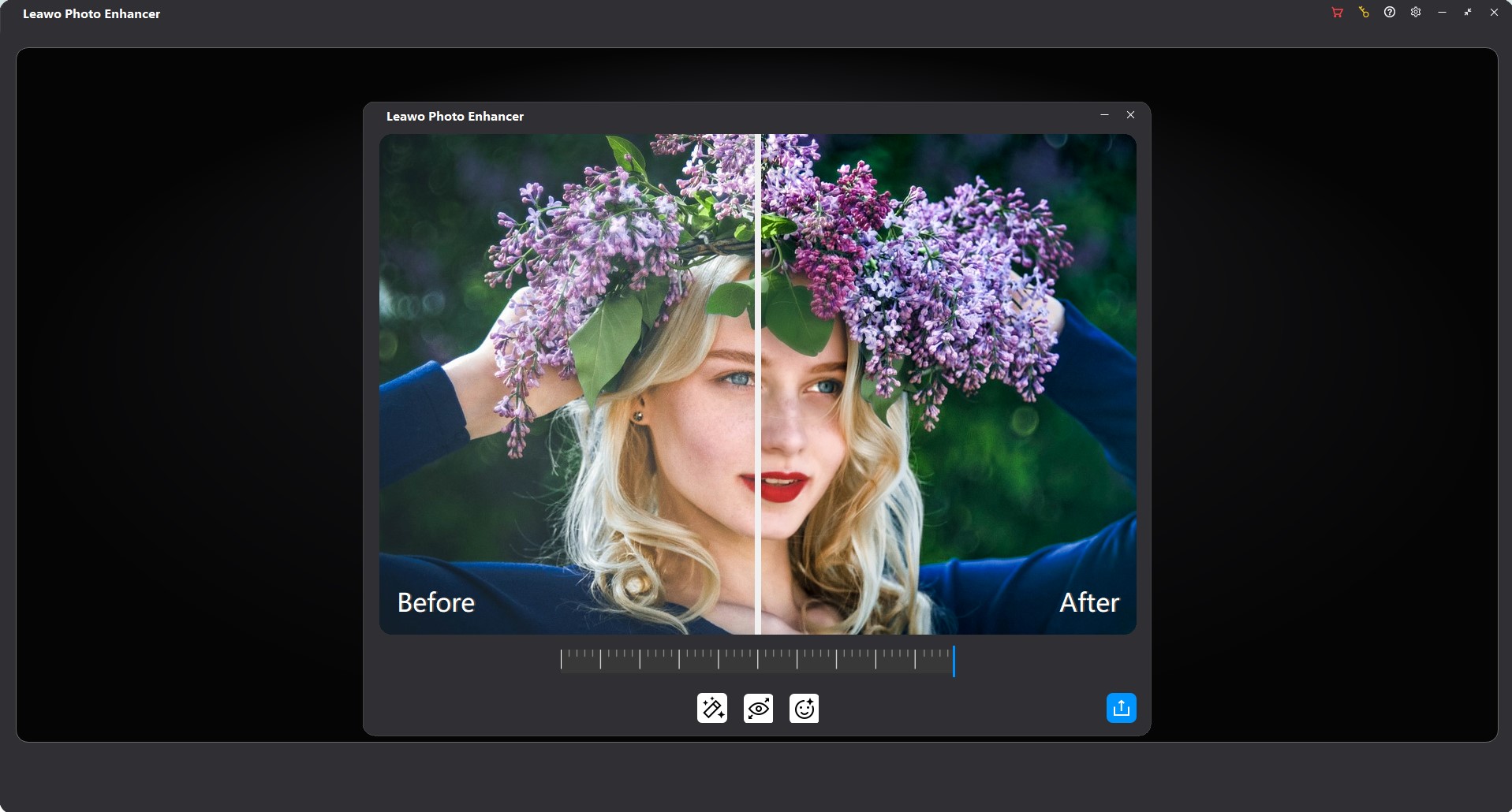 Capture 3 de Leawo PhotoIns