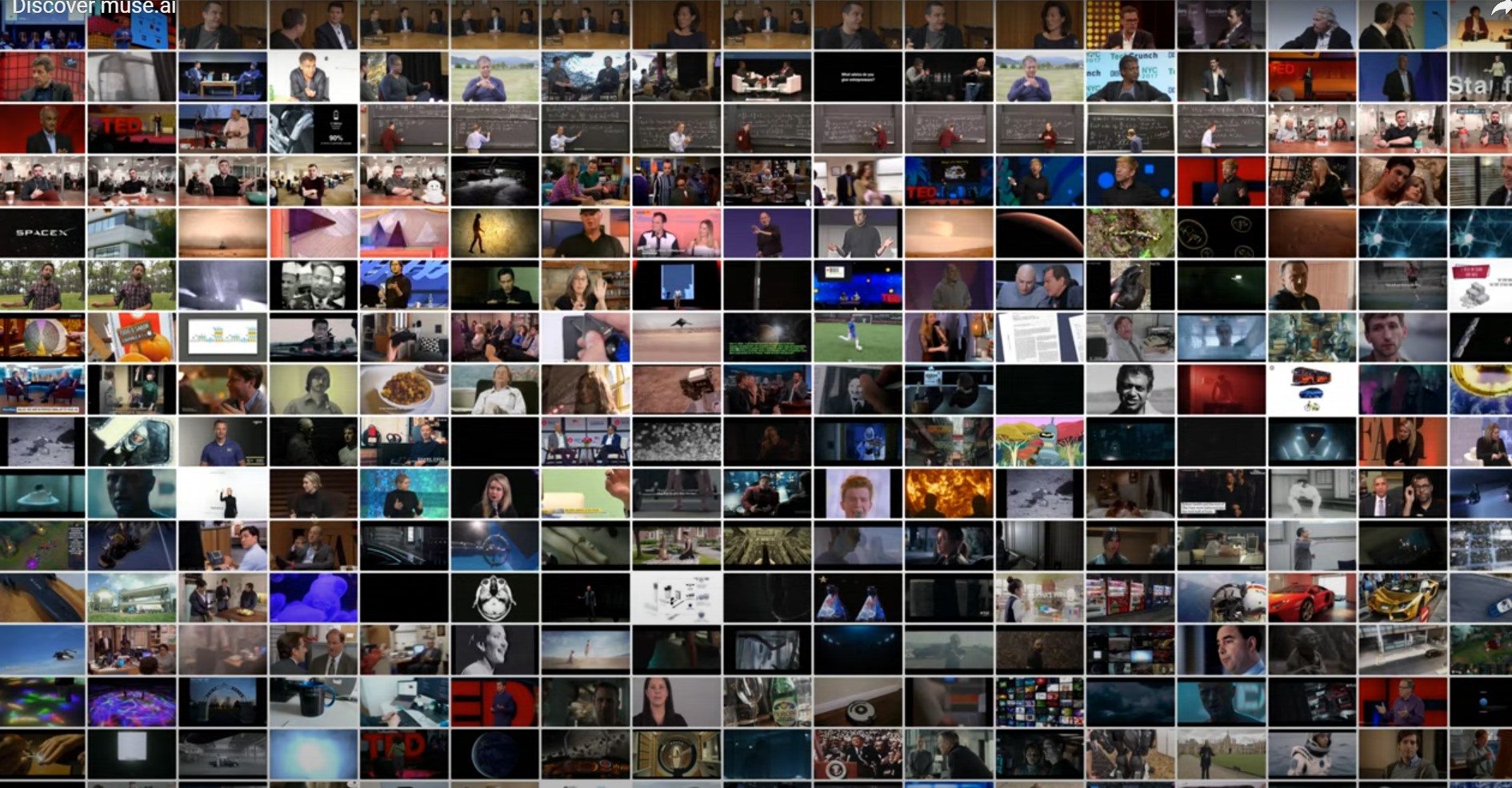 Capture de muse.ai